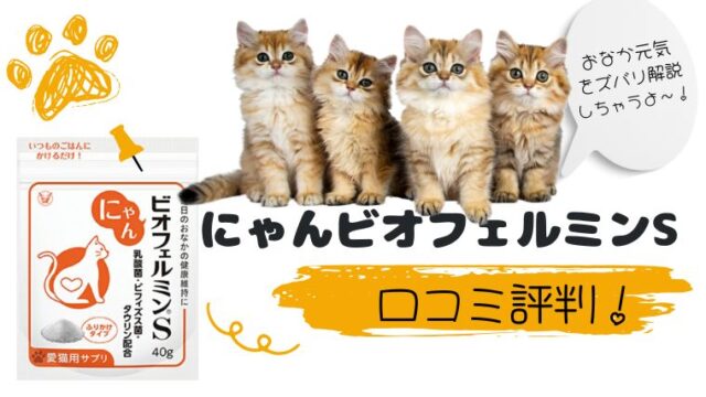 にゃんビオフェルミンSアイキャッチ画像新