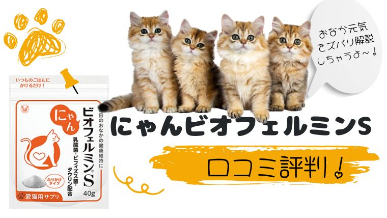 にゃんビオフェルミンSアイキャッチ画像新