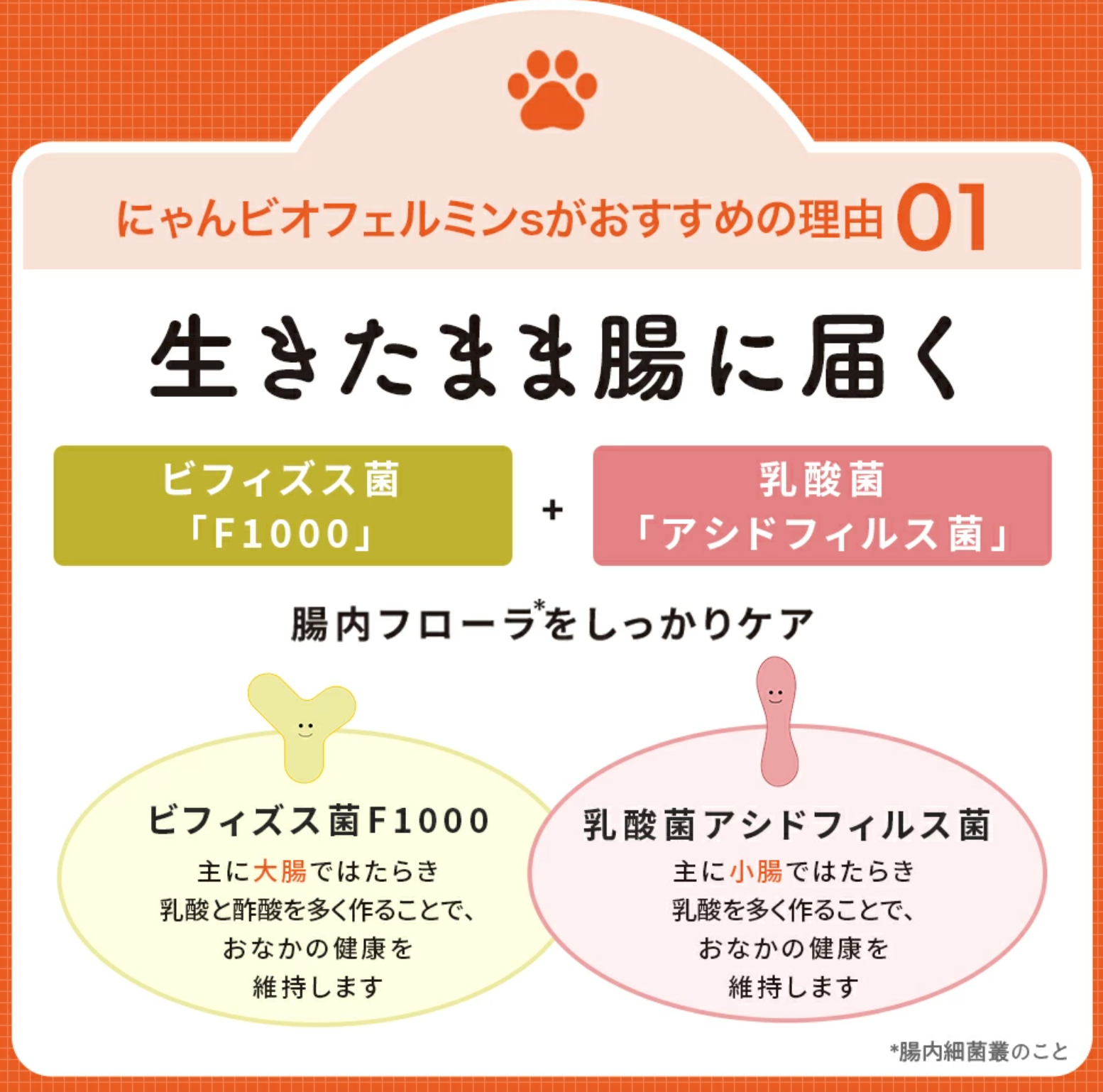にゃんビオフェルミンSおすすめ１