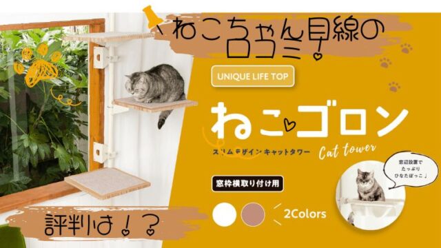 ねこゴロン
