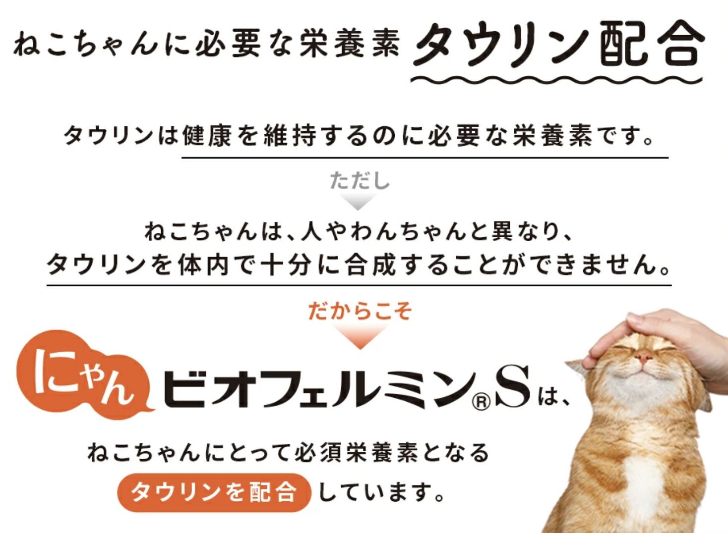 にゃんビオフェルミンS