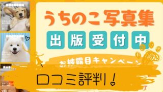 うちの子写真集　口コミ評判レビュー