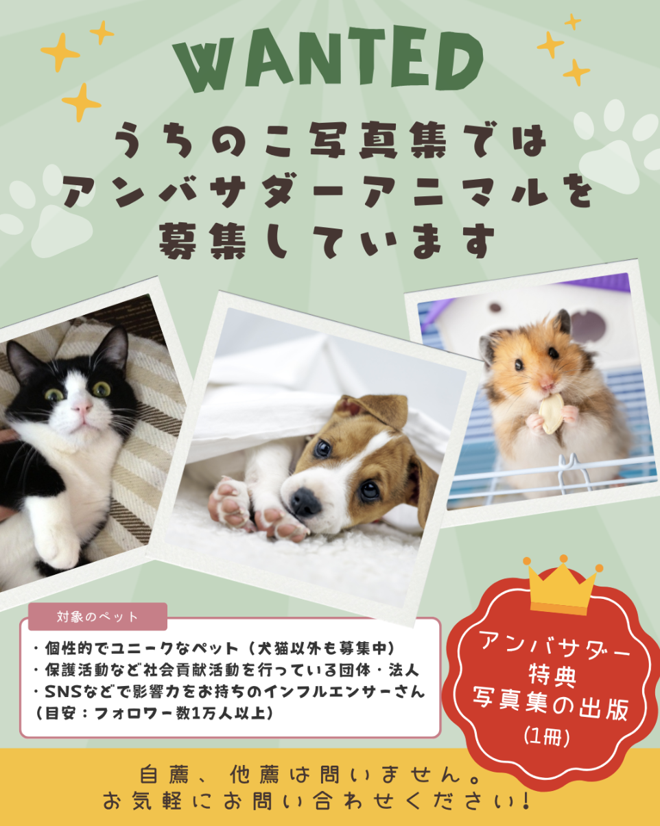 うちの子写真集