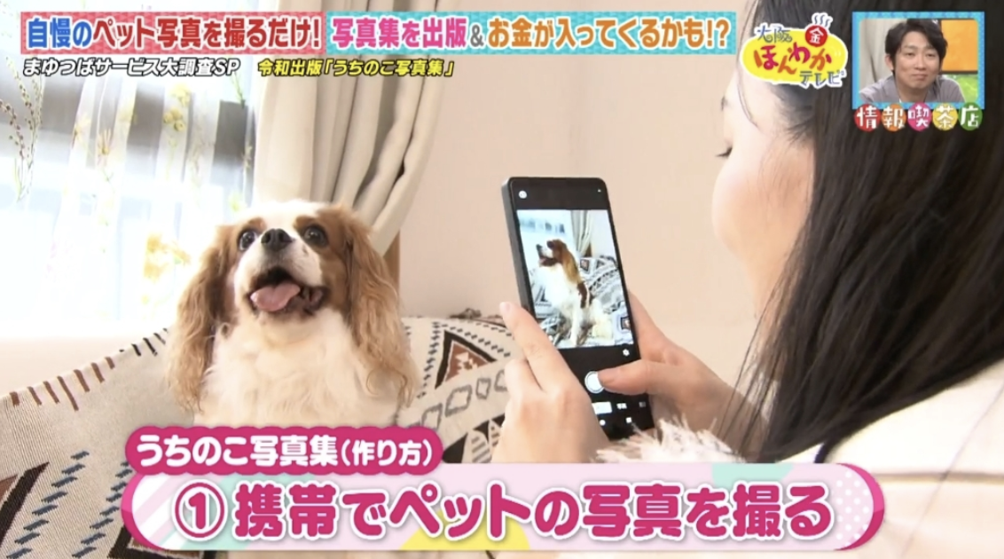 うちの子写真集